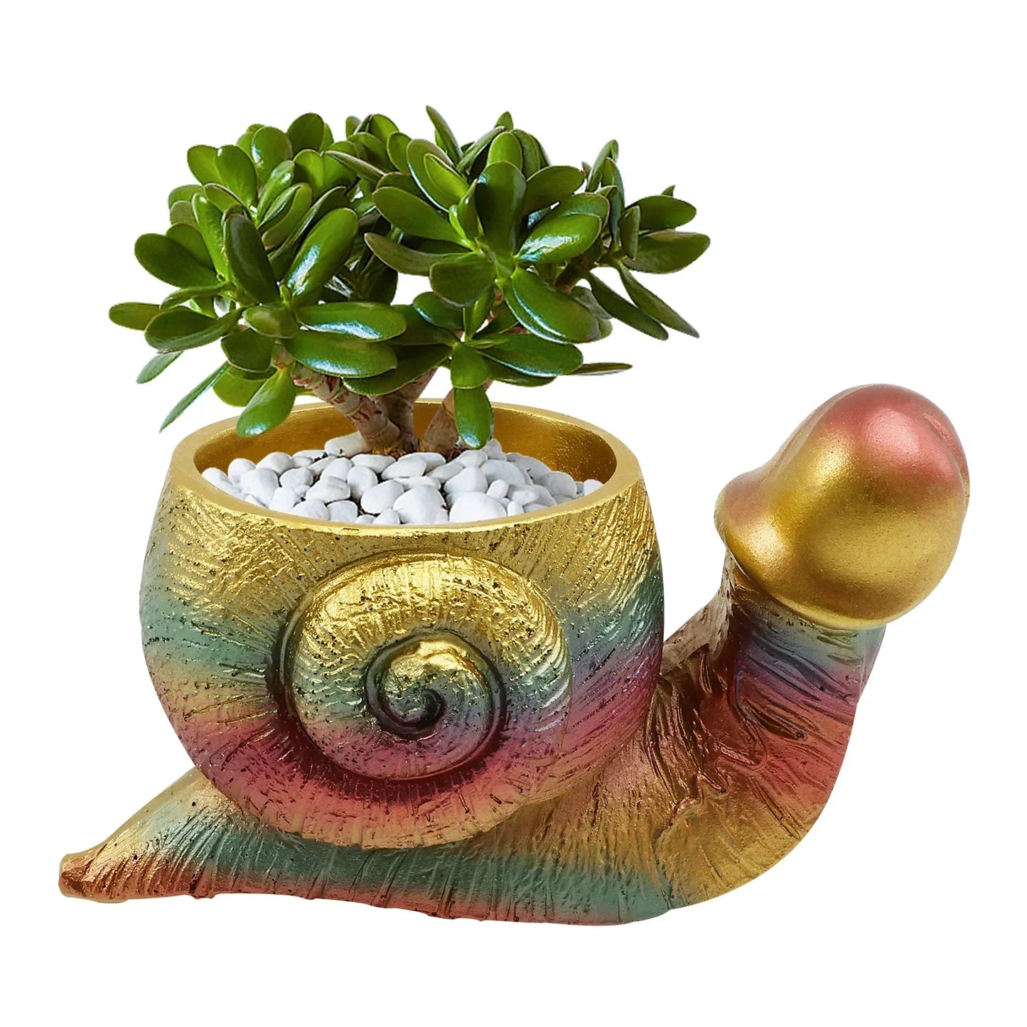 Rainbow Snail Planter