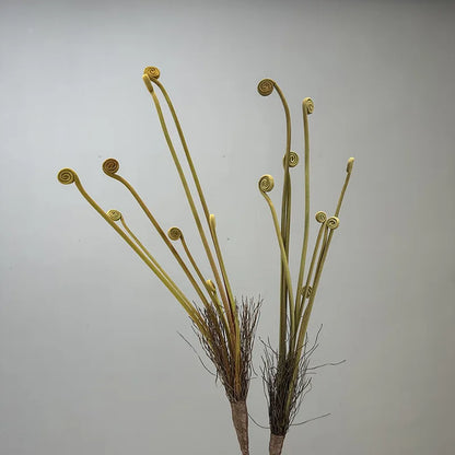 FrostFern Flocking Sprout Plant