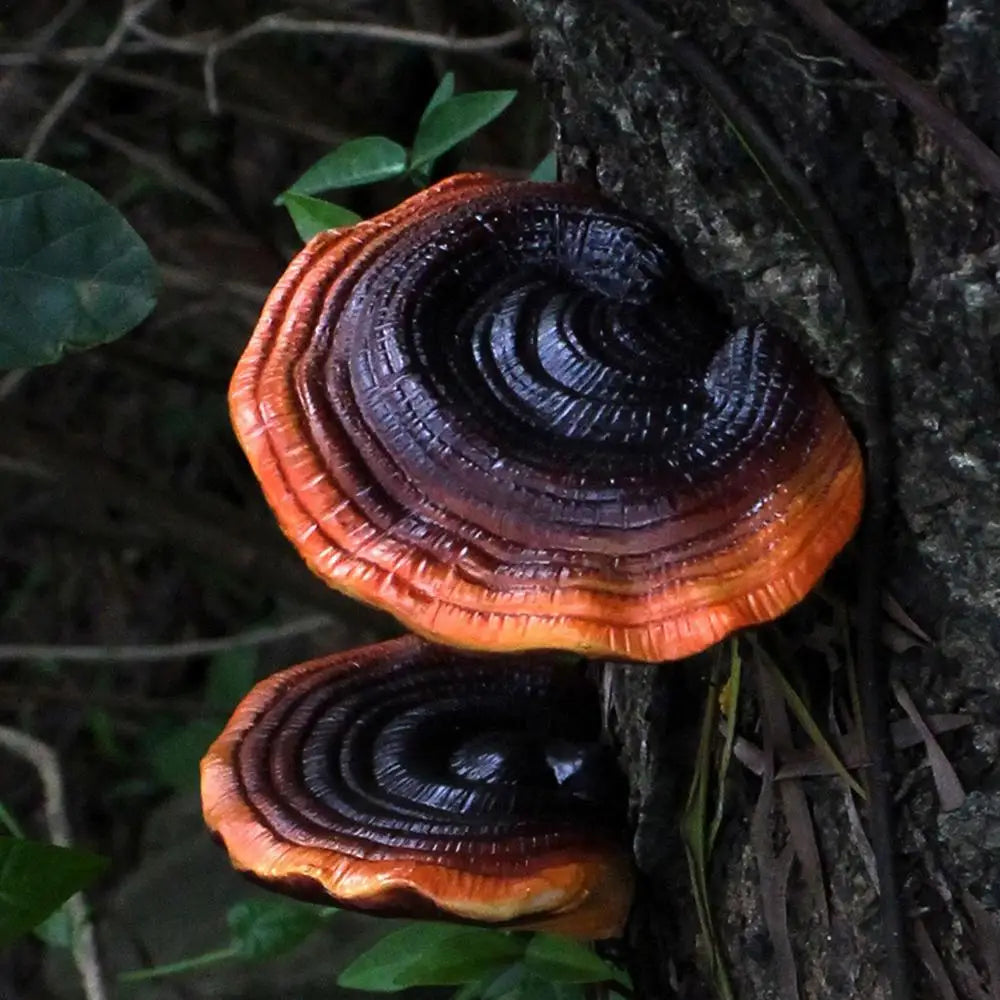 Decoración de hongos oscuros de hadas