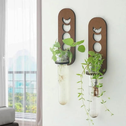 Jardinières murales célestes