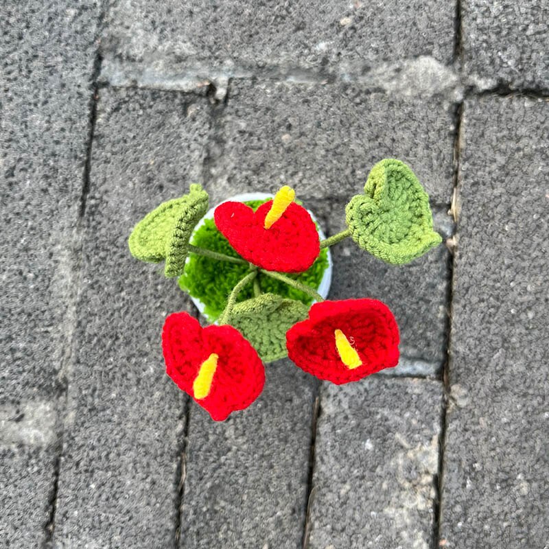 Hand Knitted Mini Potted Anthurium Flowers