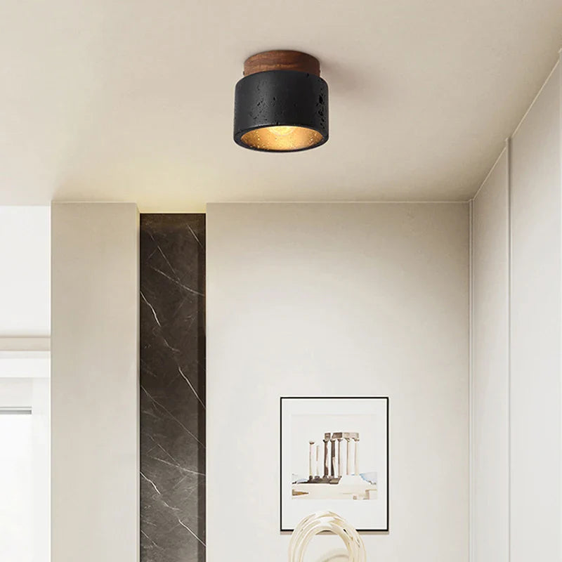 Mounted Black Stone Spot Light