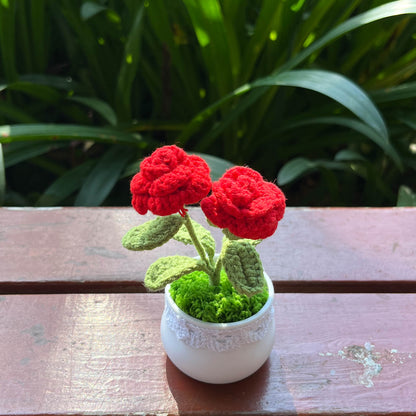 Hand Knitted Mini Potted Rose