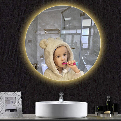 Luminous Halo Smart Mirror