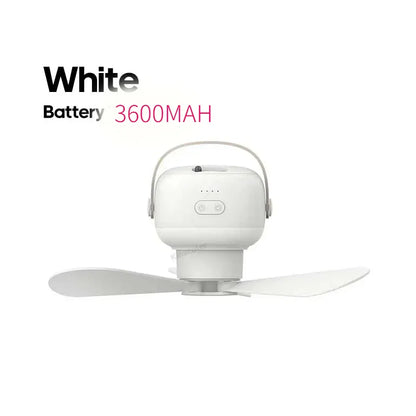 The Nomad Fan & Light