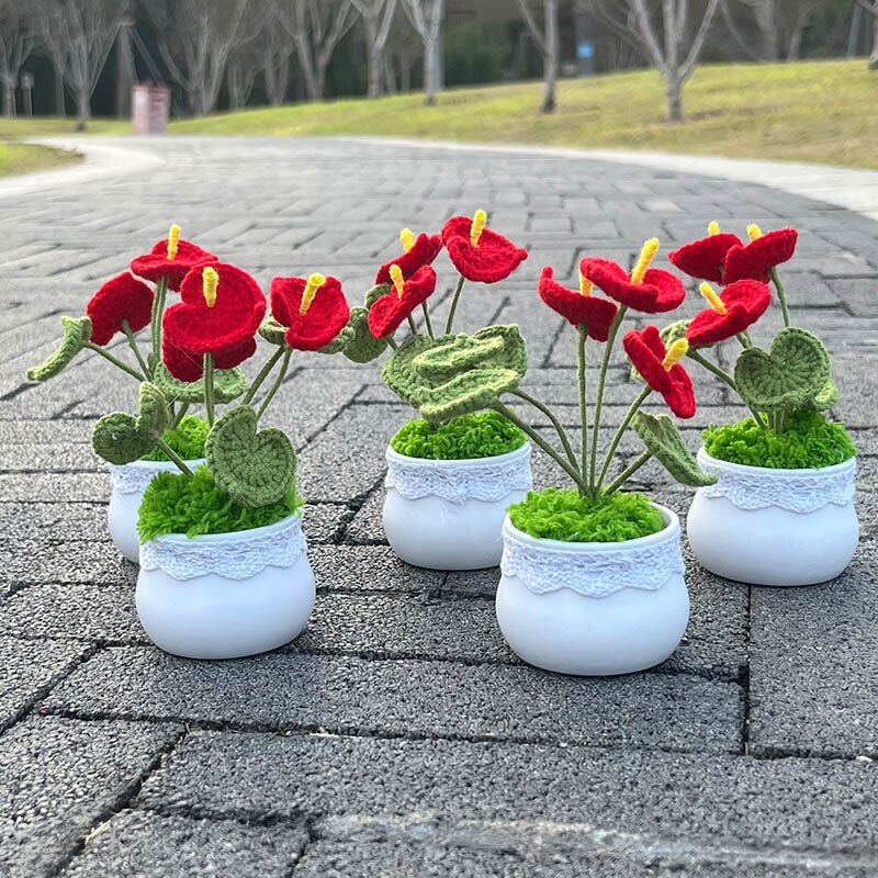 Hand Knitted Mini Potted Anthurium Flowers