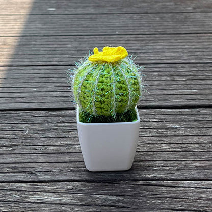 Hand-Knitted Cactus Plant