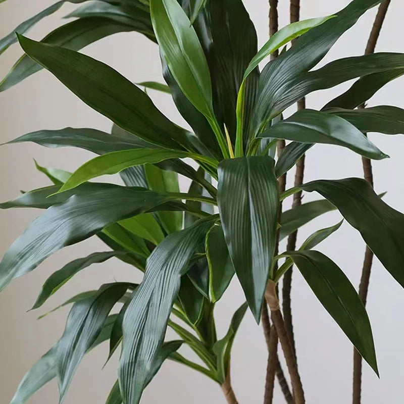 Planta de árbol de seda artificial Dracaena