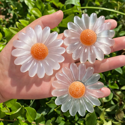 Selenite Daisy Bloom Crystal