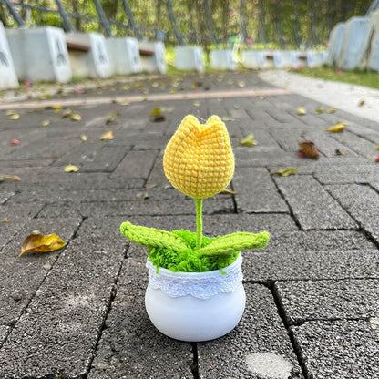 Hand Knitted Mini Potted Tulips