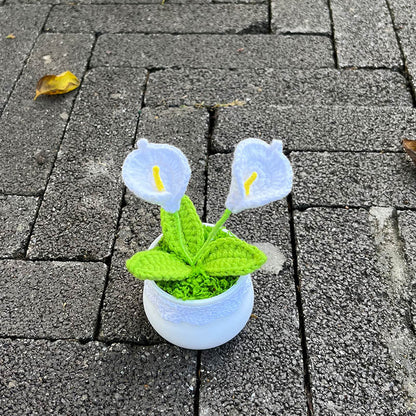 Hand Knitted Mini Potted Calla Lily