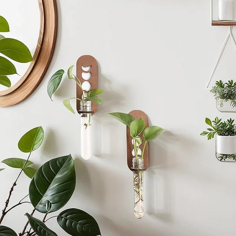 Jardinières murales célestes