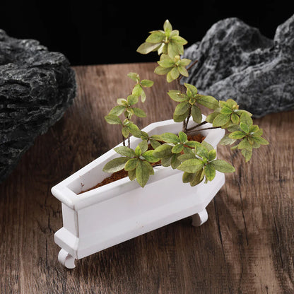 Coffin Mini Planter