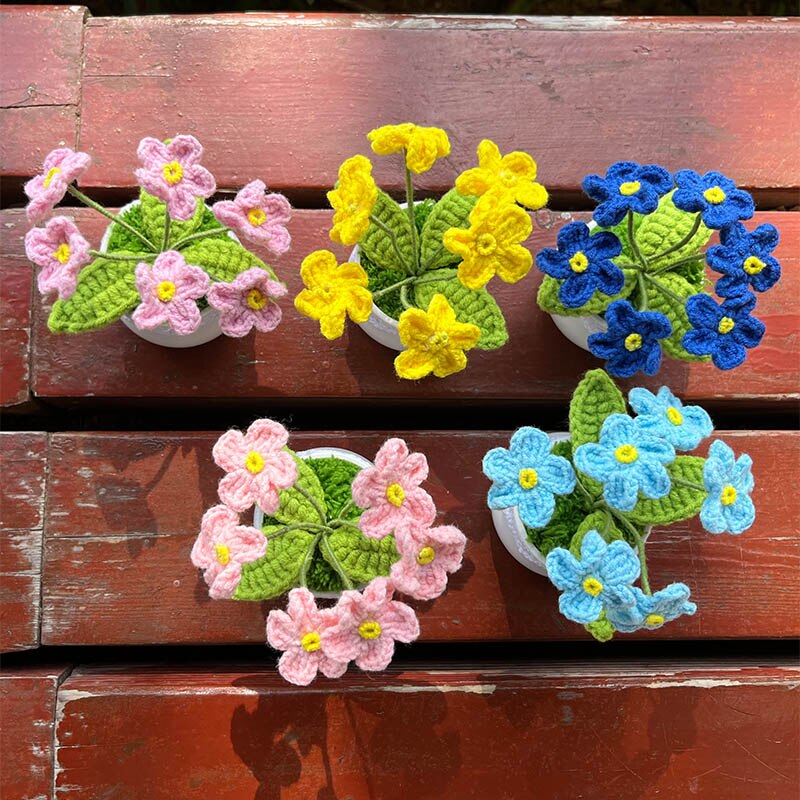 Hand Knitted Mini Potted Myosotis Flower