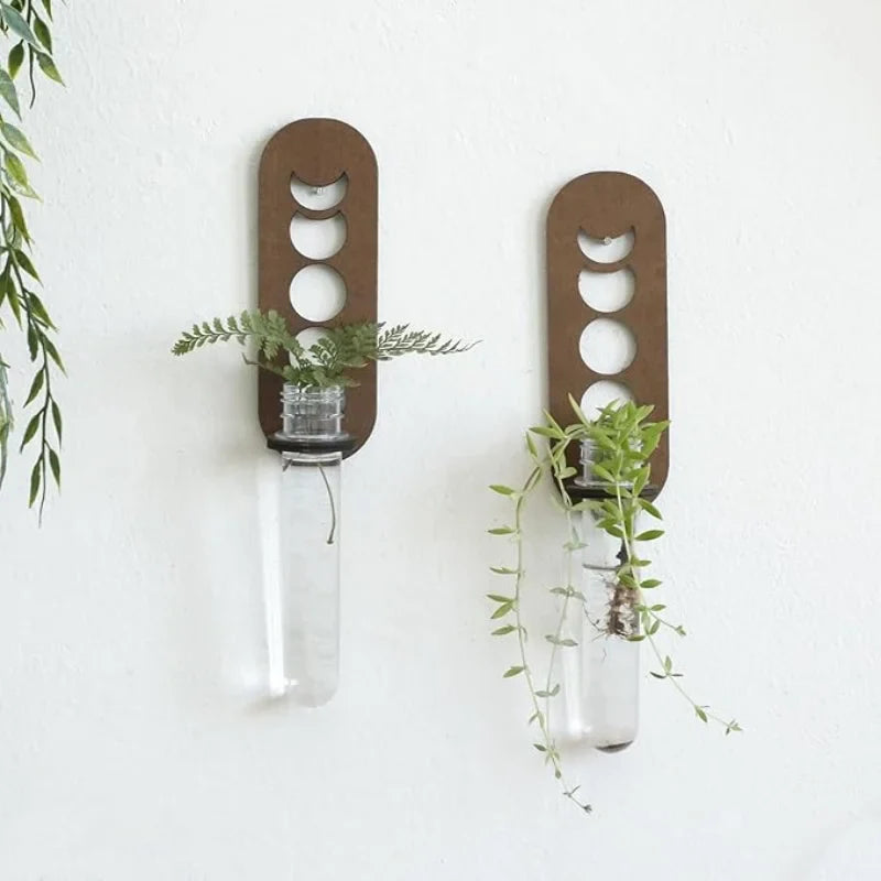 Jardinières murales célestes