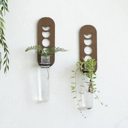 Jardinières murales célestes