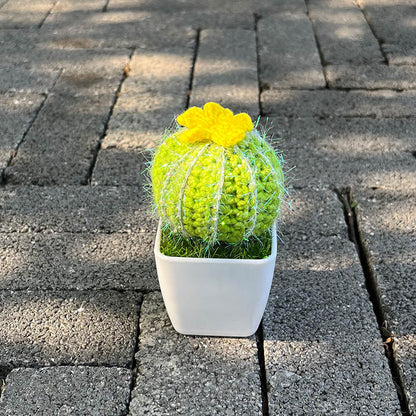 Hand-Knitted Cactus Plant