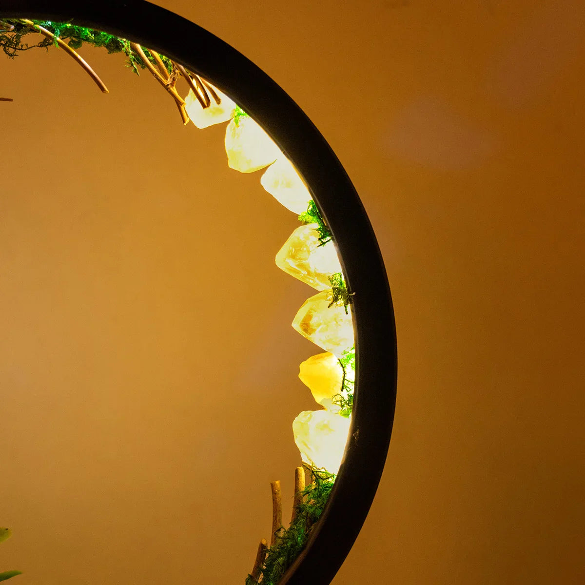 Eclipse of Enchantment Nightlight