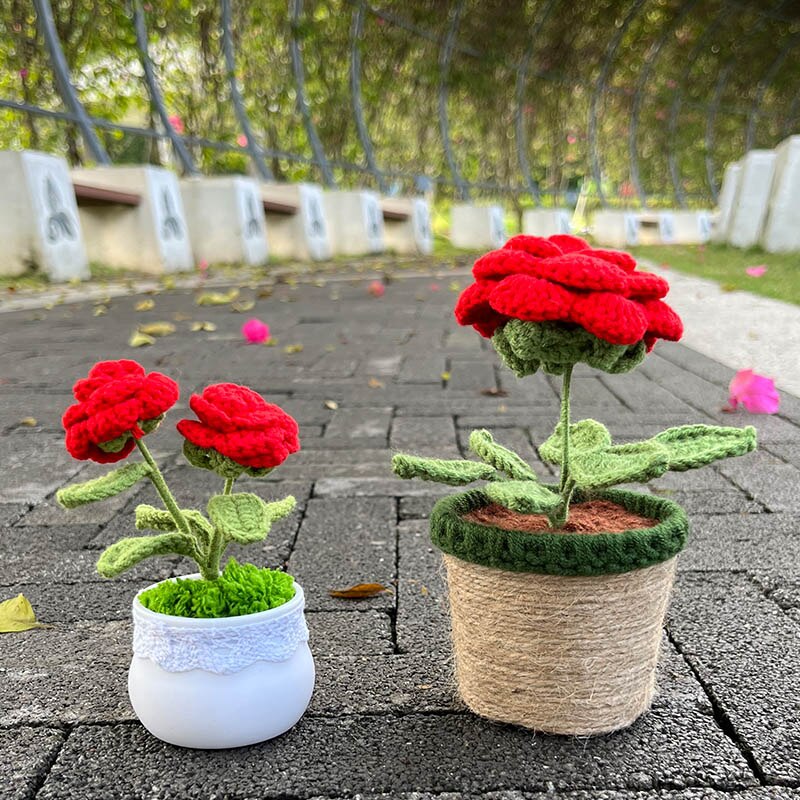 Hand Knitted Mini Potted Rose