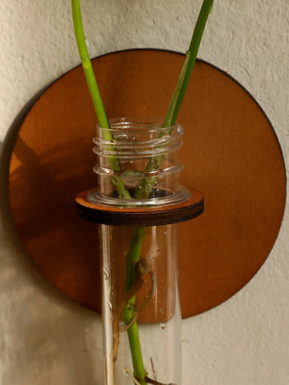 Suspension murale phases de la lune avec vase en verre