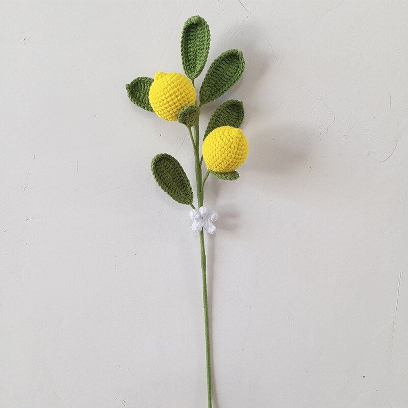 Hand Knitted Fruit Stems