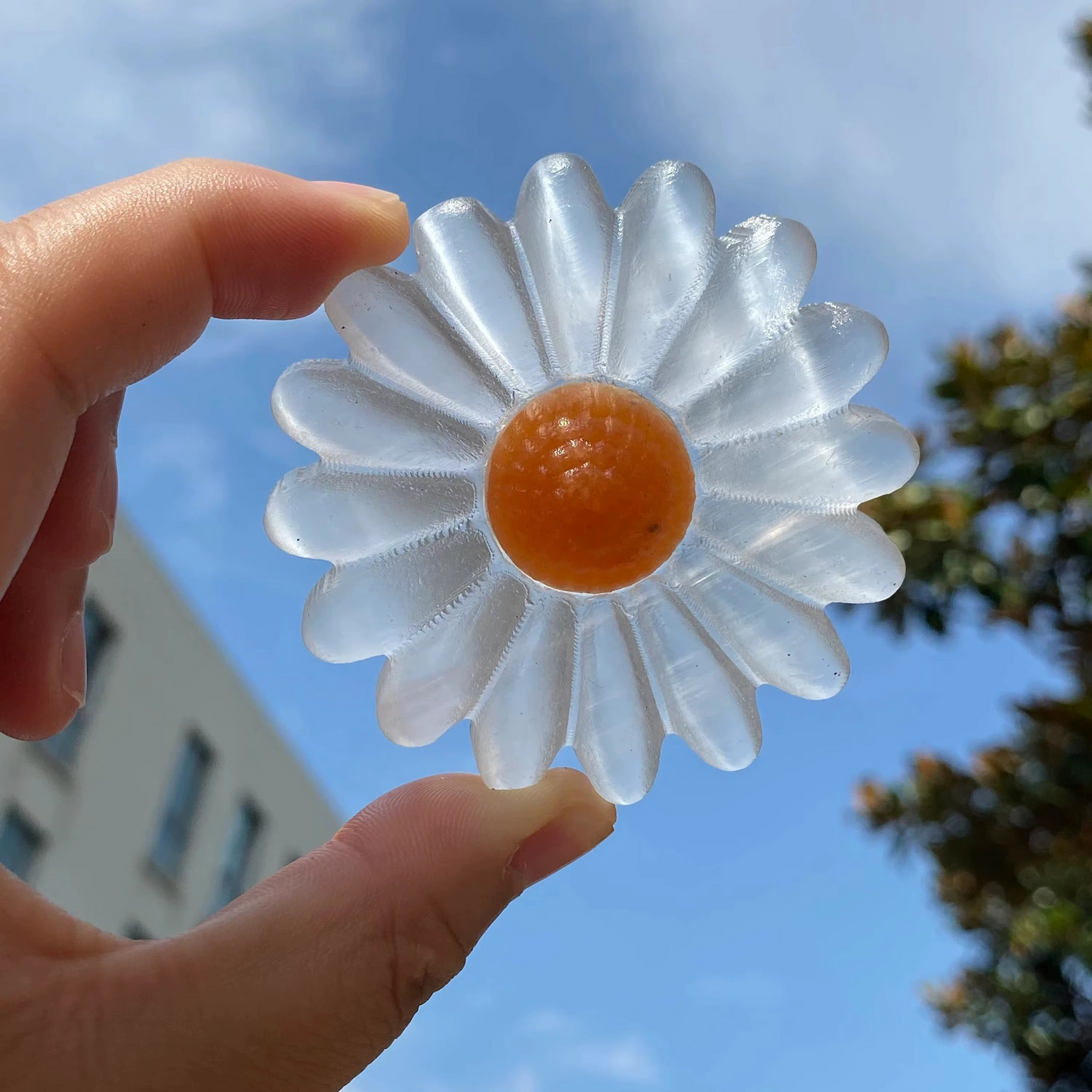 Selenite Daisy Bloom Crystal