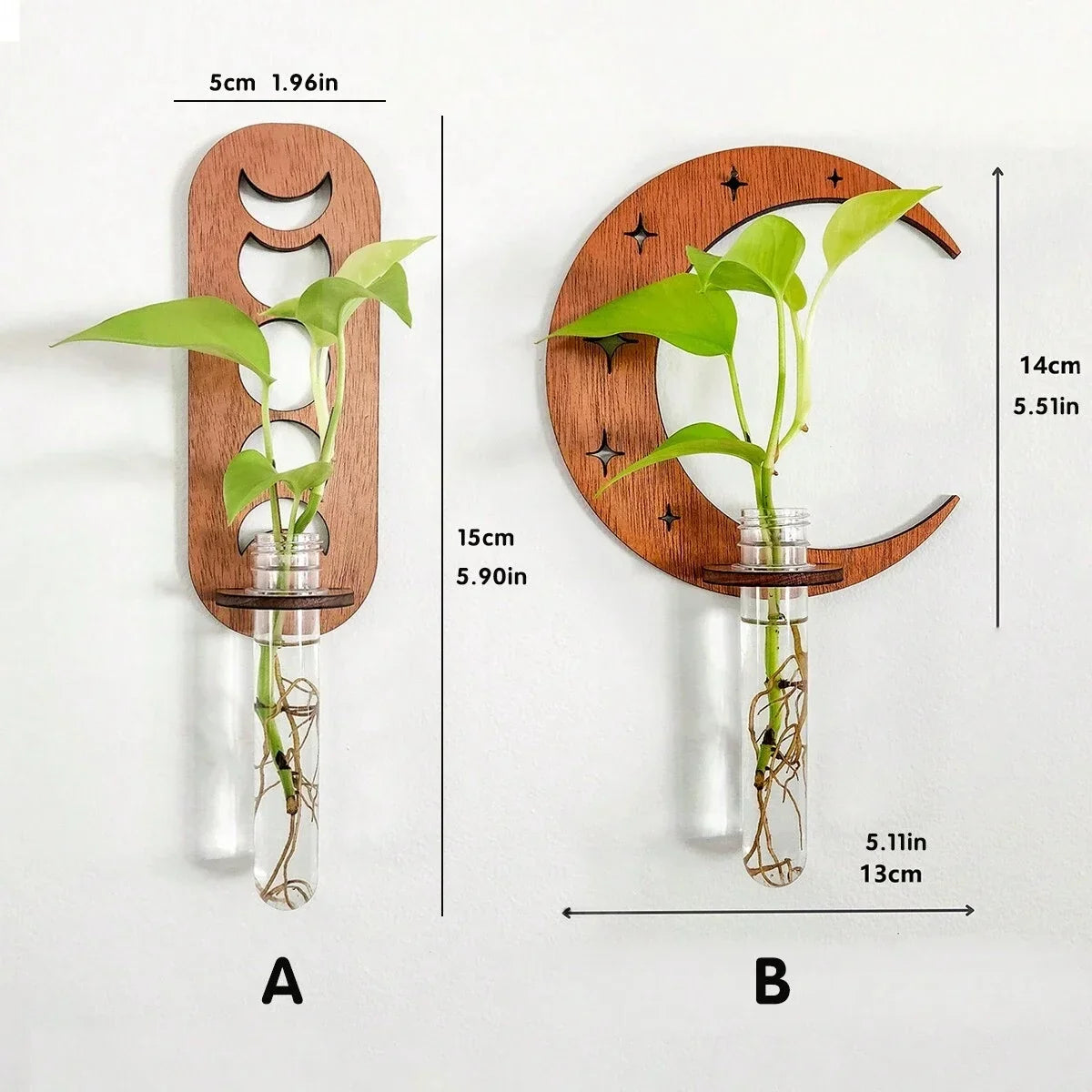 Jardinières murales célestes