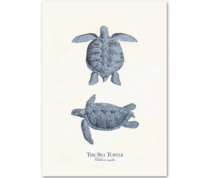Sea Life Canvas Paintings (9 Pack)