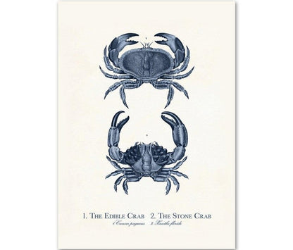 Sea Life Canvas Paintings (9 Pack)