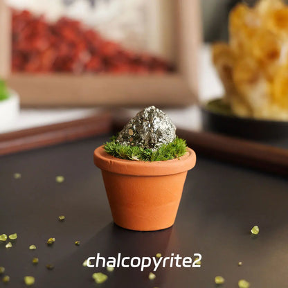 CrystalRoot™ Mini Gem Pot