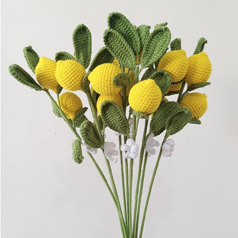 Hand Knitted Fruit Stems