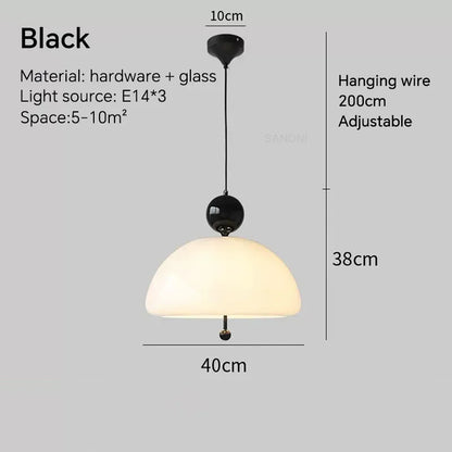 Stylish Pendant Light