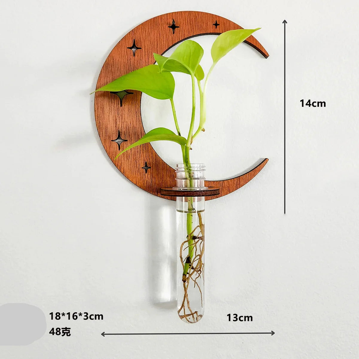 Jardinières murales célestes