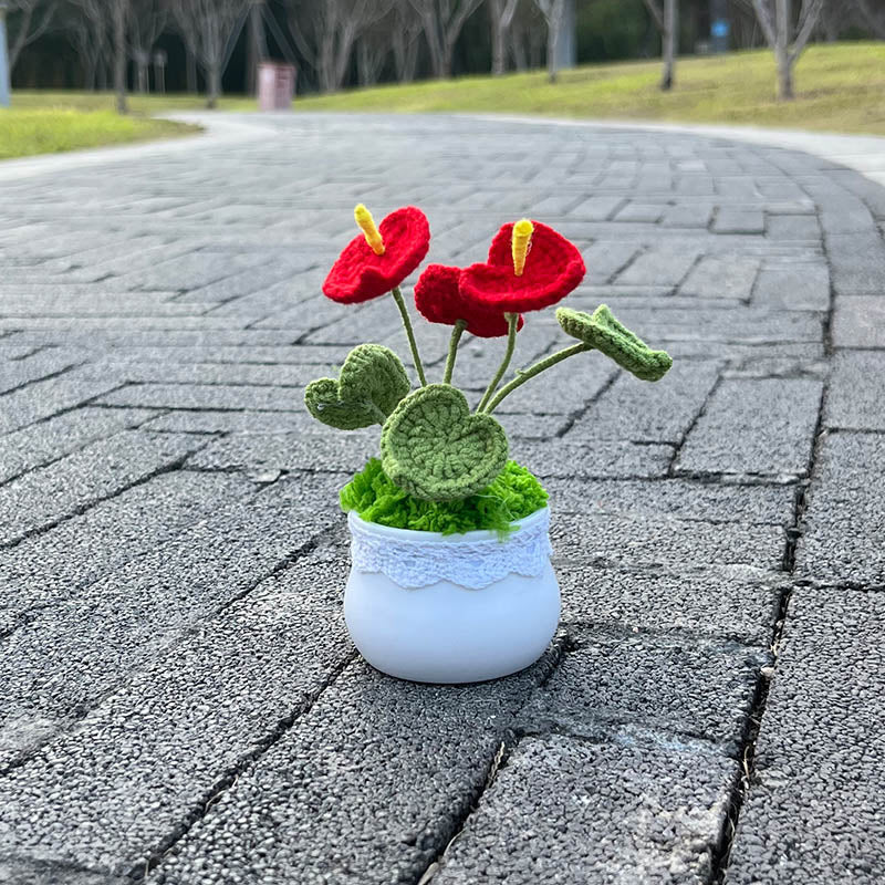 Hand Knitted Mini Potted Anthurium Flowers