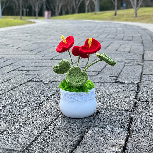 Hand Knitted Mini Potted Anthurium Flowers