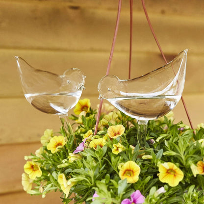 Self Watering Bird Globes