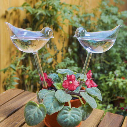 Self Watering Bird Globes