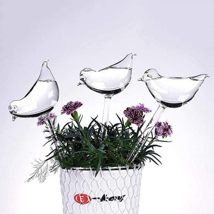 Self Watering Bird Globes