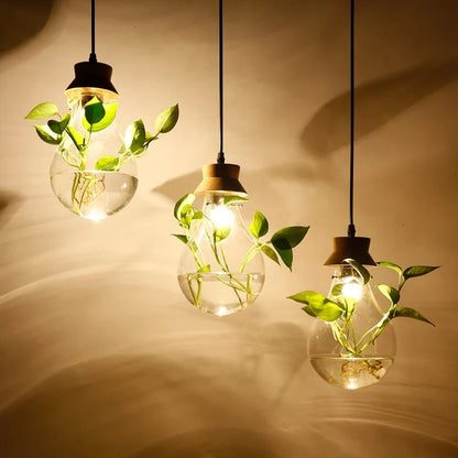 Glass Pendant Plant Light