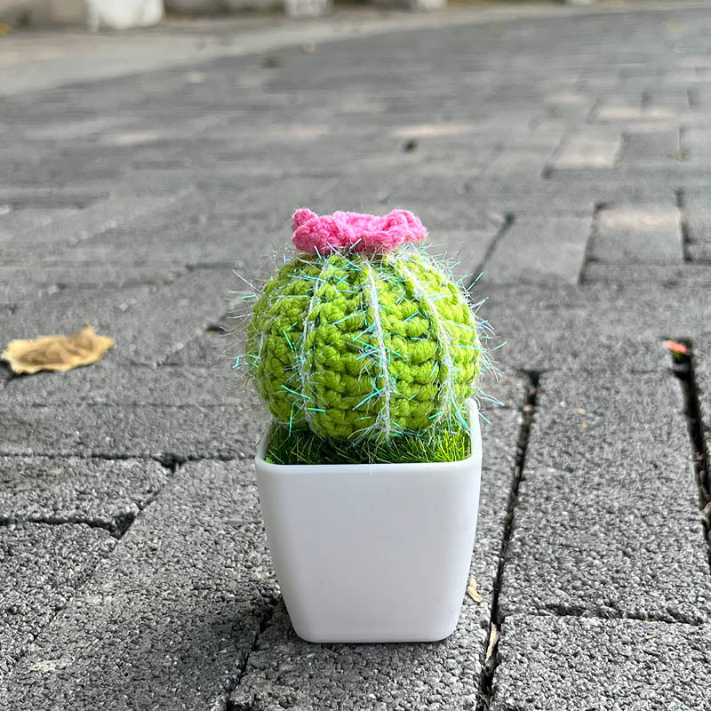 Hand-Knitted Cactus Plant