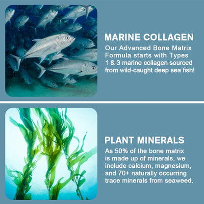 Collagen Bone Capsules with Plant Calcium & Magnesium