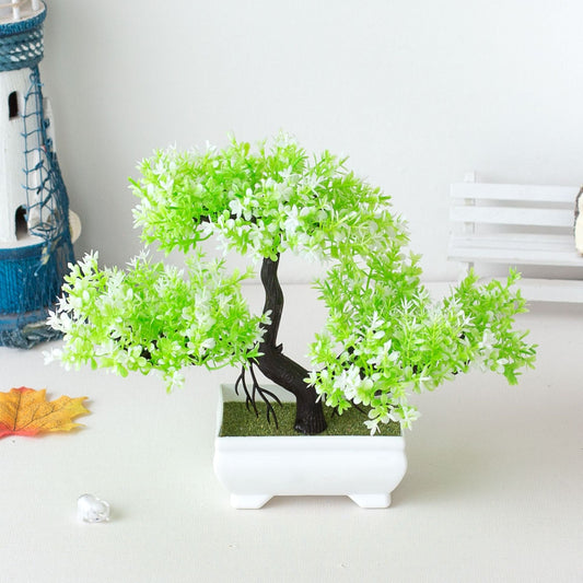 Ornamental Bonsai Tree