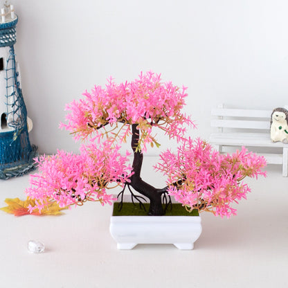 Ornamental Bonsai Tree