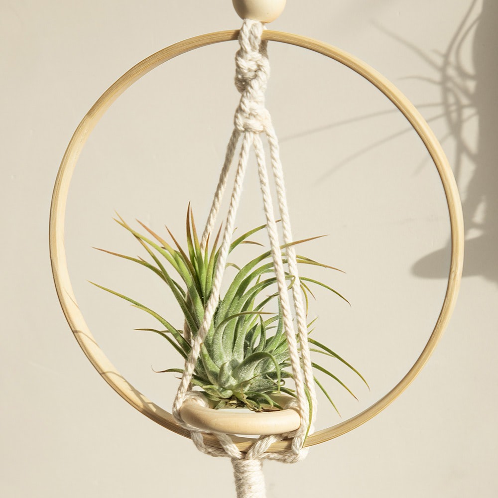 Macrame Wooden Circle Plant Hanger AESTHETIC_Boho macrame hanging SUB CATEGORY_Wall Decor