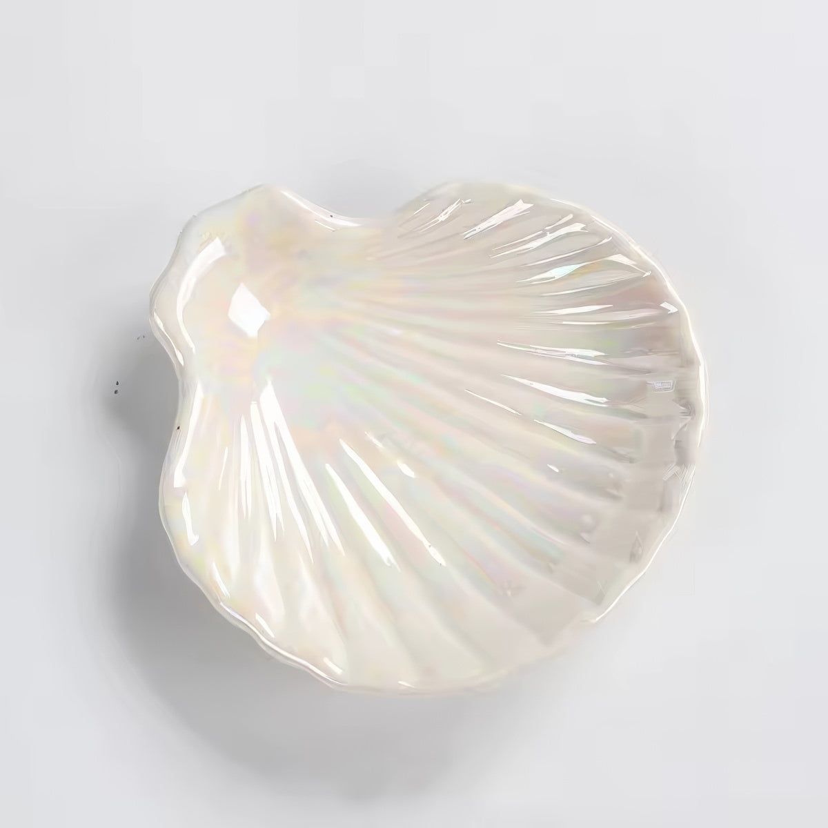 Iridescent Ceramic Seashell Jewelry Tray