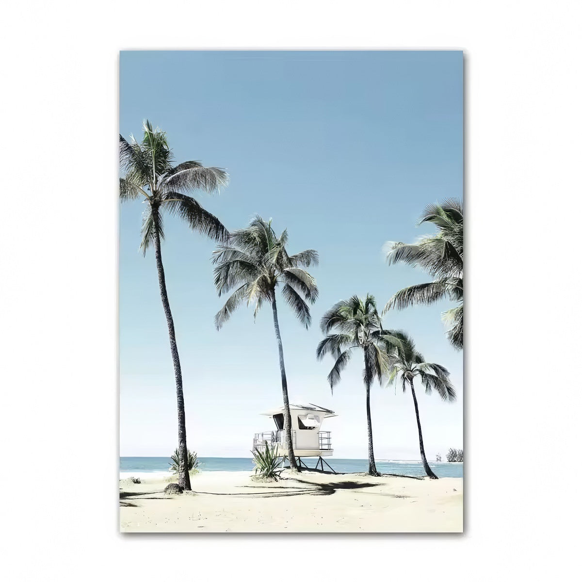 Coastal Life Aesthetic Canvas Posters