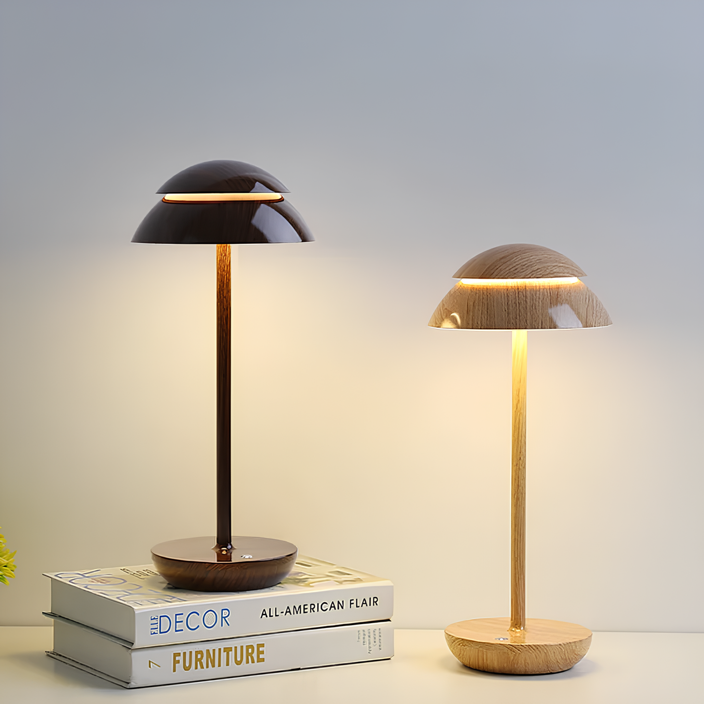 Cordless Rechargeable LED Table Lamp