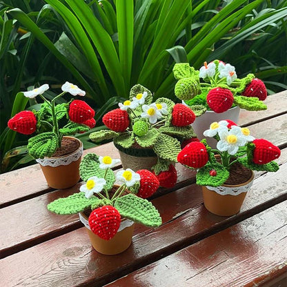 Crochet Potted Strawberry Bush AESTHETIC_Cottagecore plushies SUB CATEGORY_Plushies