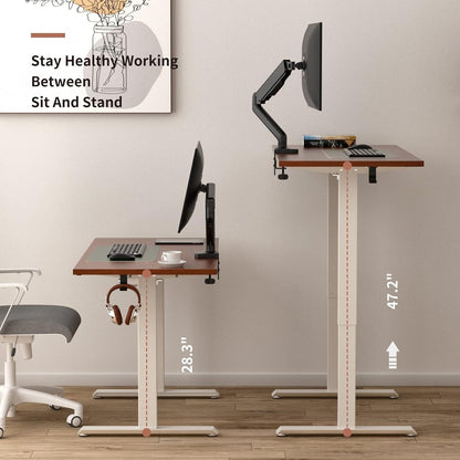 Electric Standing Desk 48 X 24 Inches, Adjustable Height Computer Desk, Whole Piece Board Sit Stand Desk for Home Office, Memory Preset White Frame + Walnut Top 0.7” Furniture Home & Kitchen Home Office Desks Home Office Furniture