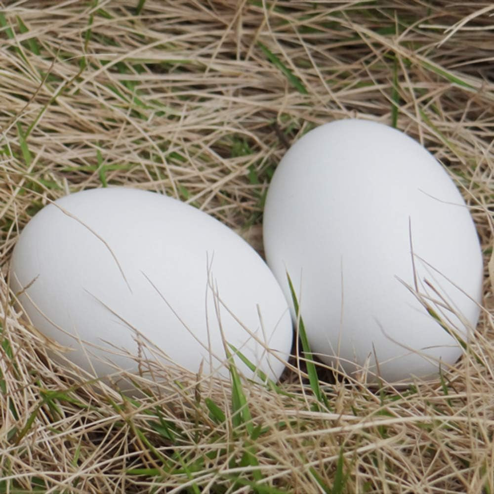 Easter Wooden Eggs White Fake Eggs to Paint Paintable Wood Eggs for Crafts Easter Decorations